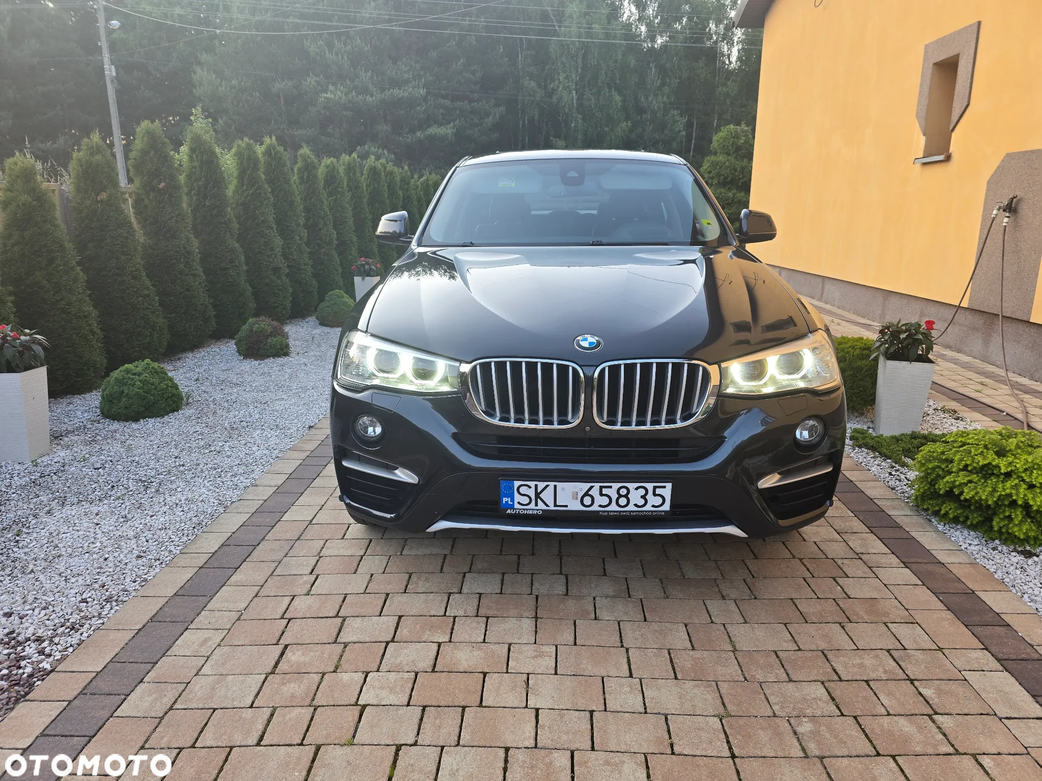 BMW X4 xDrive20d xLine - 2