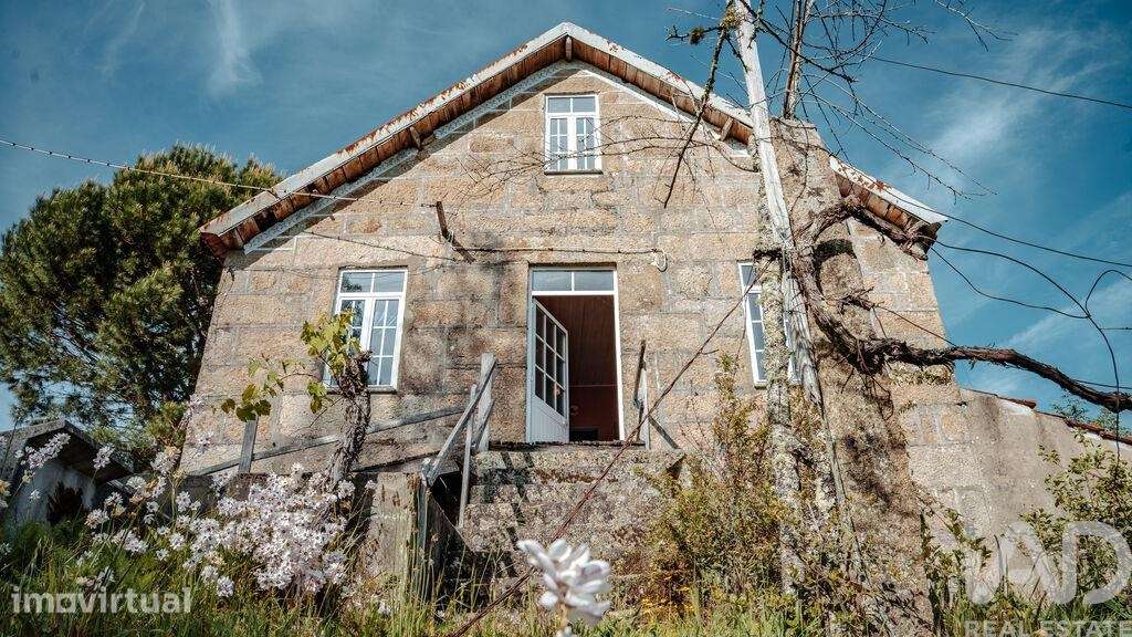 Terreno Agrícola em Carvalhais e Candal - Grande imagem: 2/29