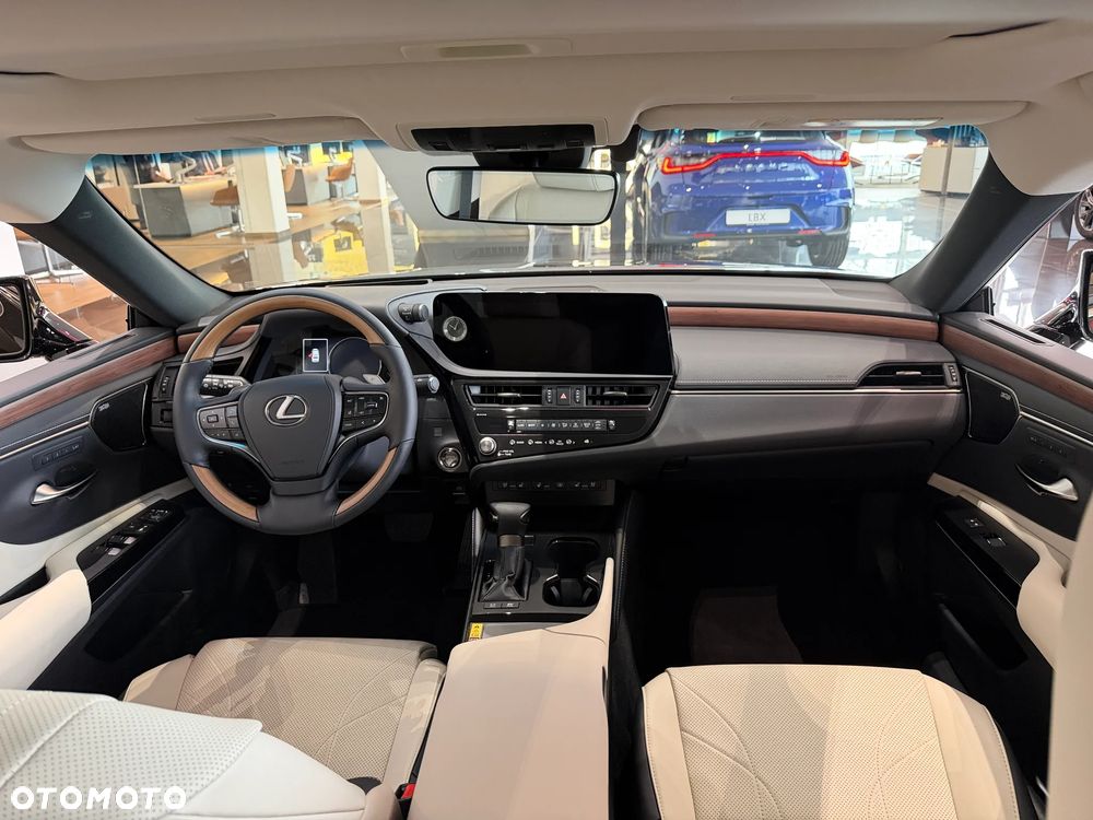 Lexus ES 300h Omotenashi - 10
