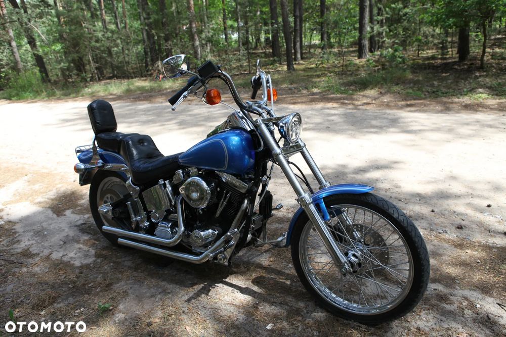 Harley-Davidson Softail - 6