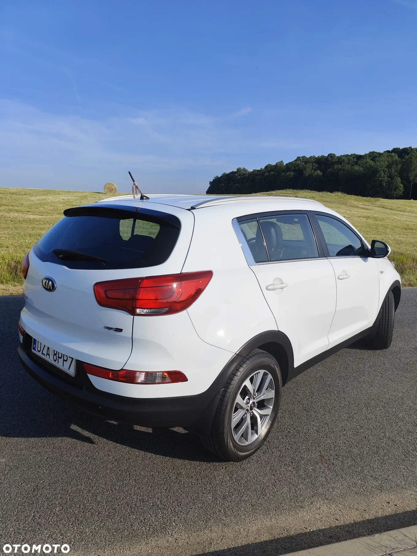 Kia Sportage 1.6 GDI L 2WD - 5