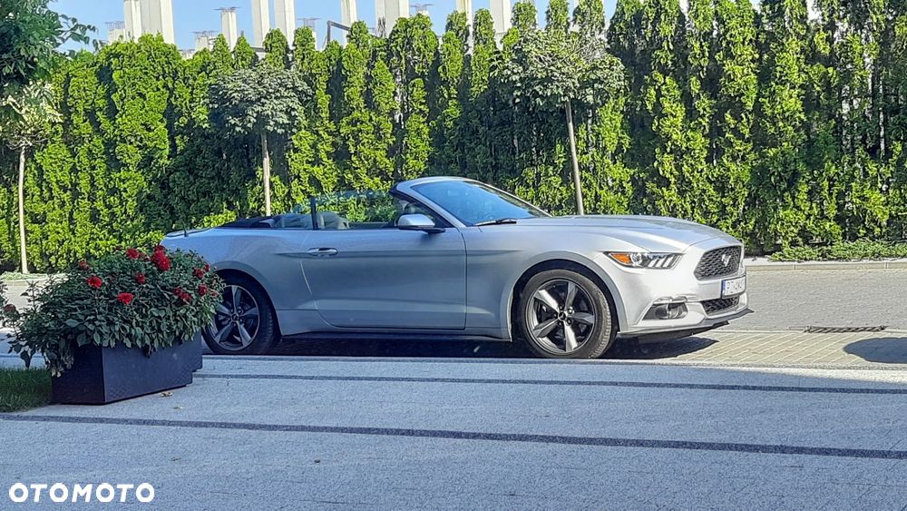 Ford Mustang Cabrio 2.3 Eco Boost - 5