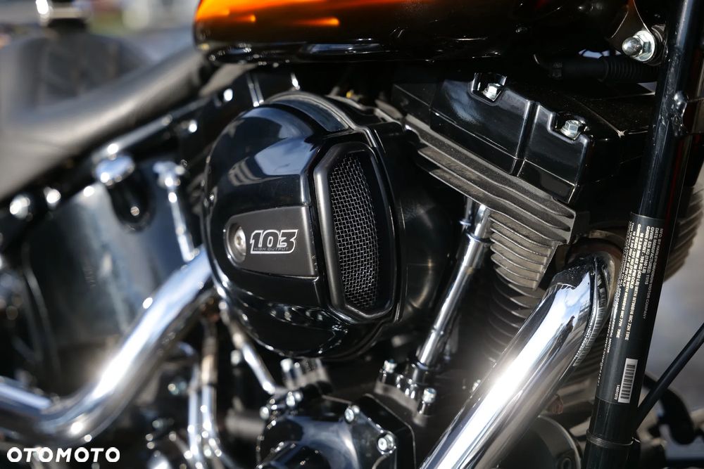 Harley-Davidson Softail Slim - 20