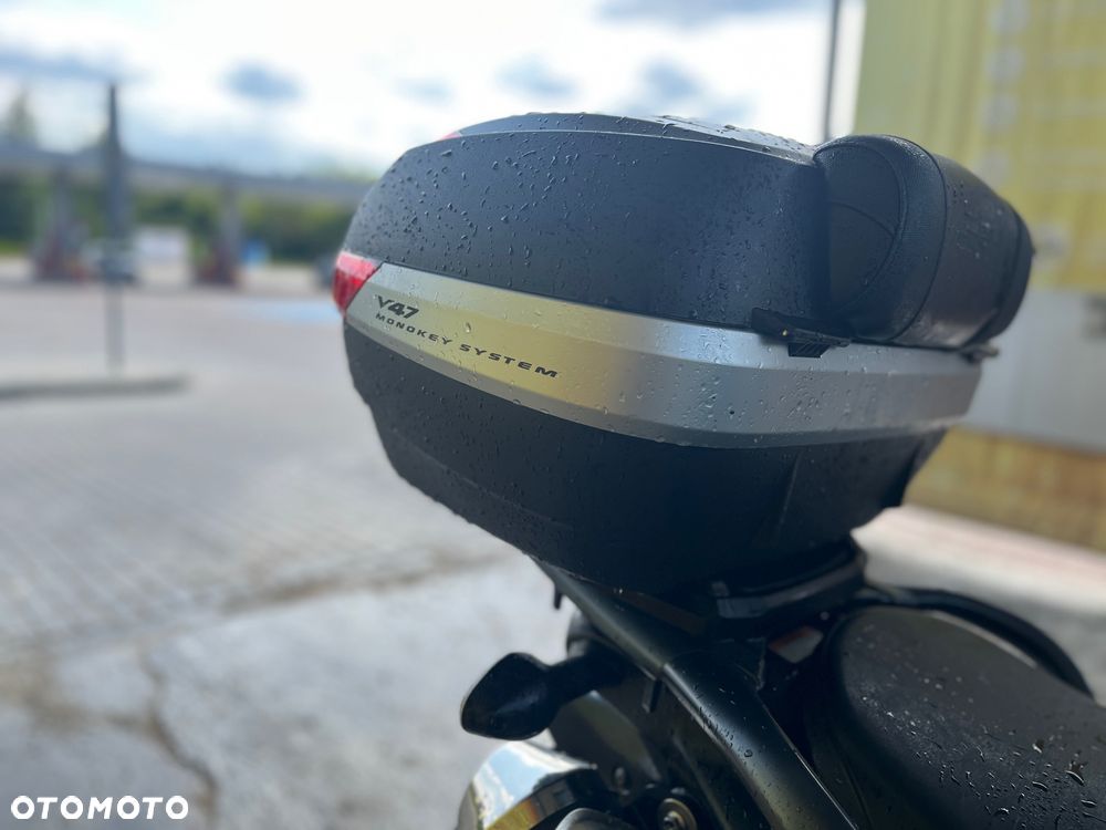 Suzuki DL - 12
