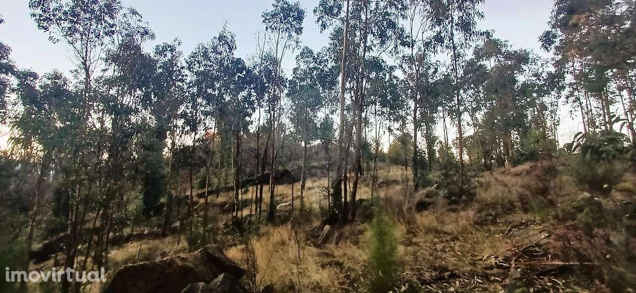 Terreno  para venda - Grande imagem: 2/5