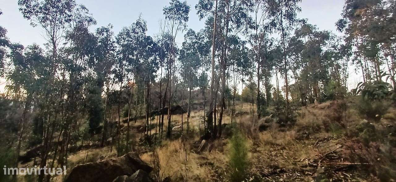 Terreno  para venda - Grande imagem: 2/5