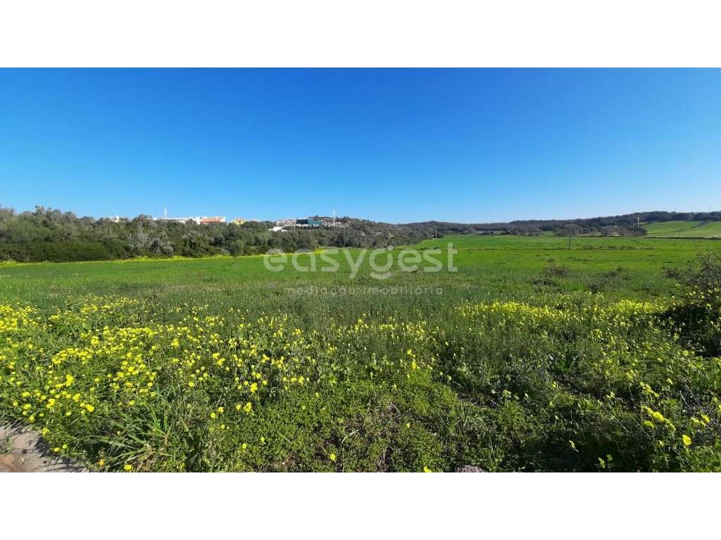 Terreno com 5600 metros quadrados em limites de Morelena. - Grande imagem: 3/13