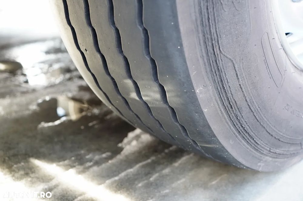 Schmitz Cargobull CORTINĂ / STANDARD / - 23