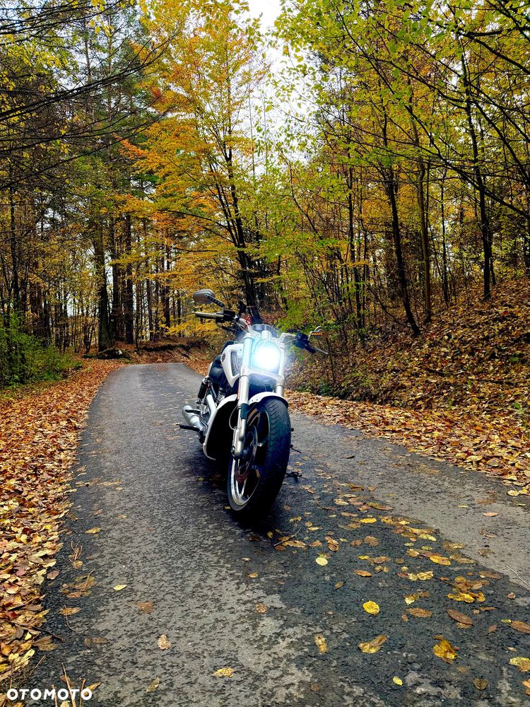 Harley-Davidson V-Rod Muscle - 7