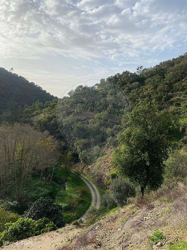 Terreno  para venda - Grande imagem: 2/13