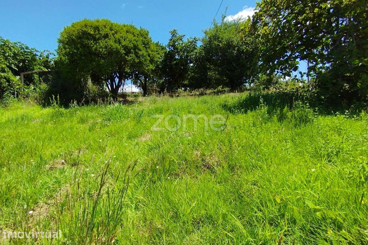 Terreno Almagreira - Grande imagem: 5/20