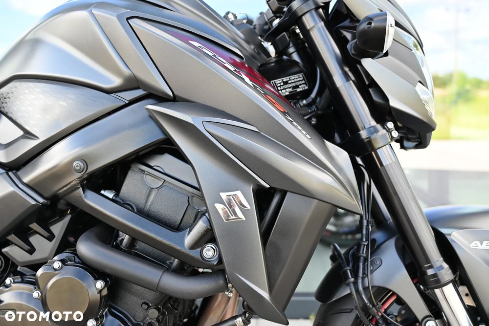 Suzuki GSX - 31