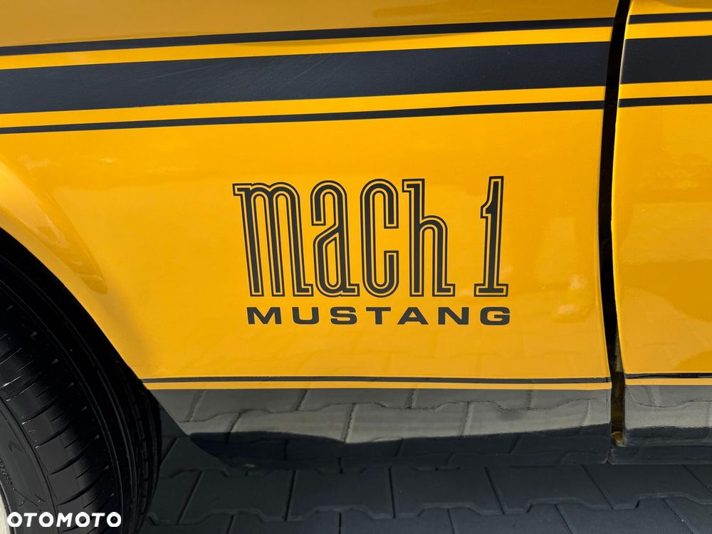 Ford Mustang - 29
