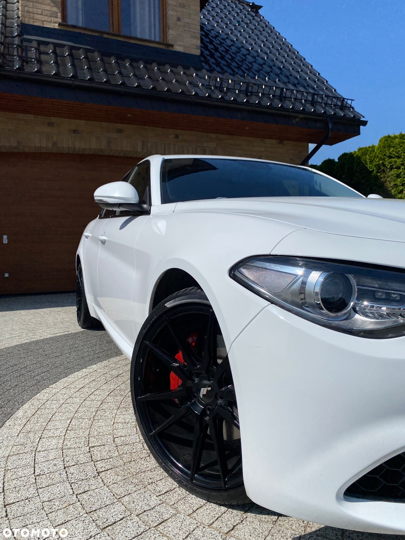 Alfa Romeo Giulia 2.0 Turbo Estrema Q4 - 4