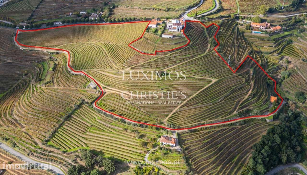 Quinta vinícola à venda em Mesão Frio na Região Demarcada, Douro V - Grande imagem: 2/25