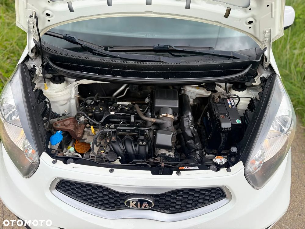 Kia Picanto 1.0 Dream Team Edition - 15