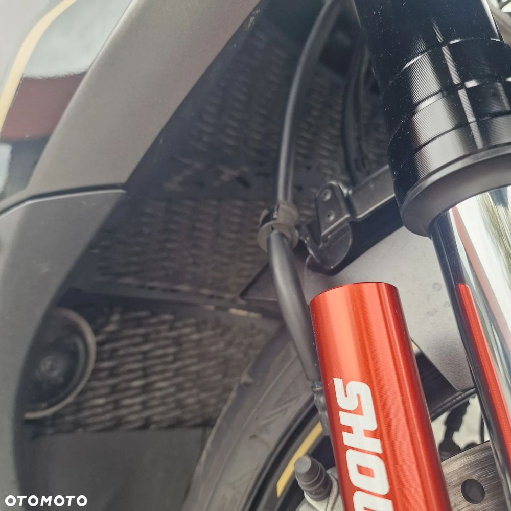 Kawasaki Ninja - 11