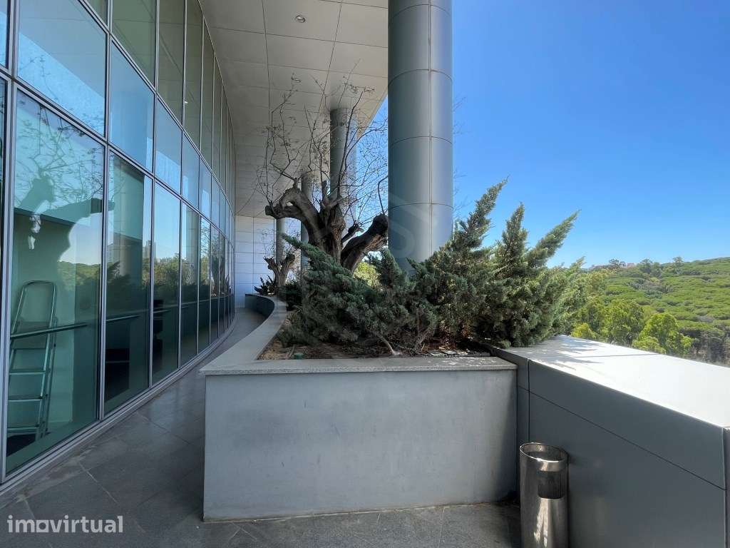 Para arrendamento, escritório com 545 m², com localização emblemáti... - Grande imagem: 2/22