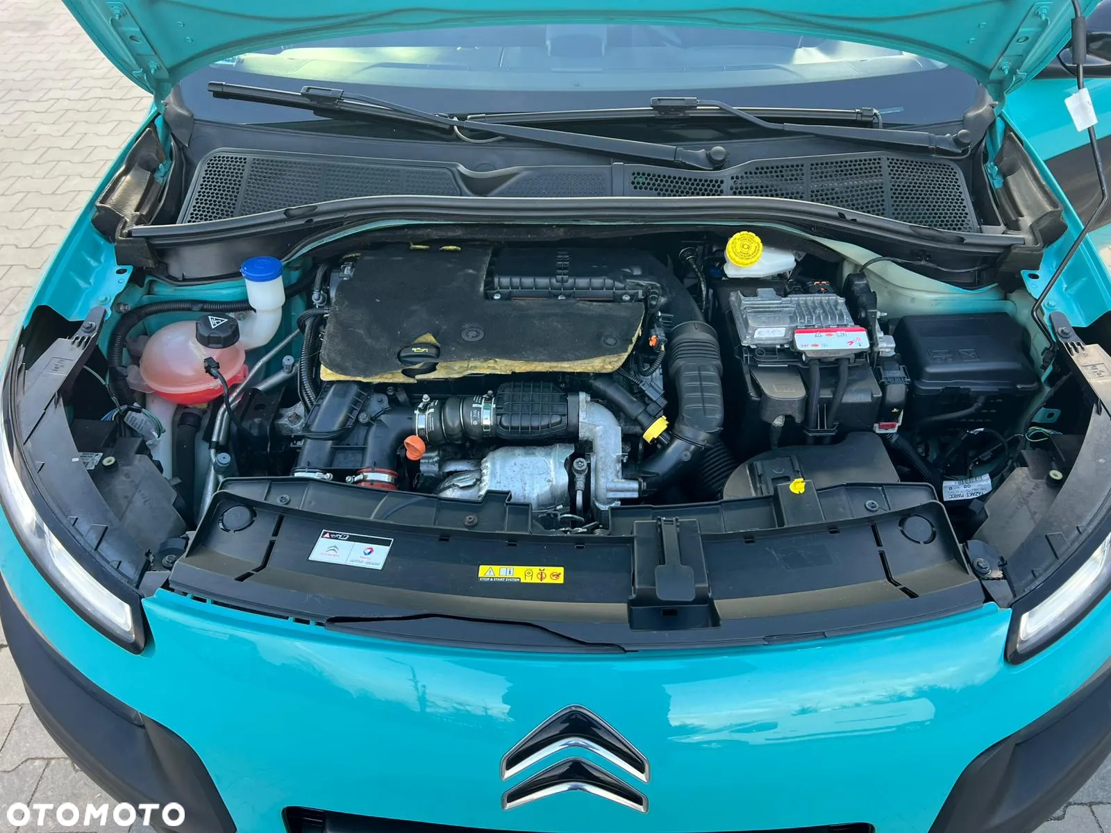 Citroën C4 Cactus 1.6 BlueHDi Feel - 8