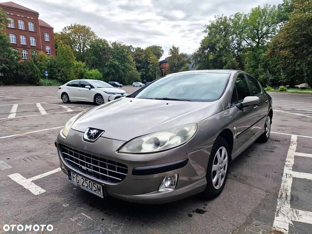 Peugeot 407 - 21