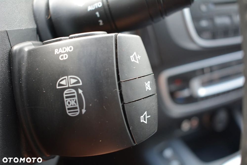 Renault Scenic - 25