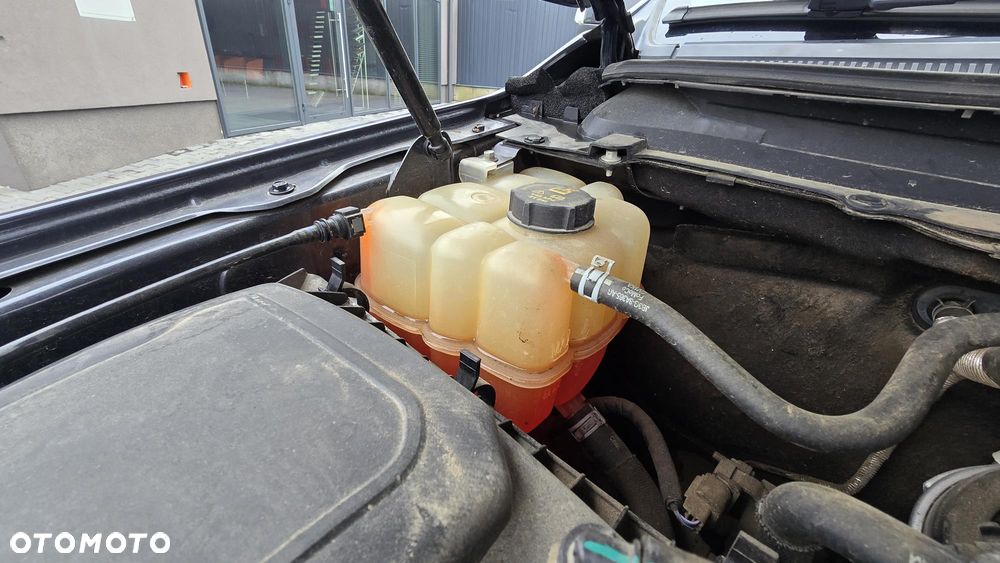 Ford Ranger 2,0 l EcoBlue Autm Wildtrak - 17