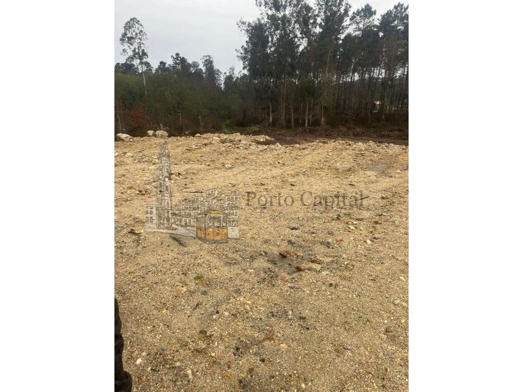 EXCELENTE TERRENO COM 6000m2 - Grande imagem: 5/34