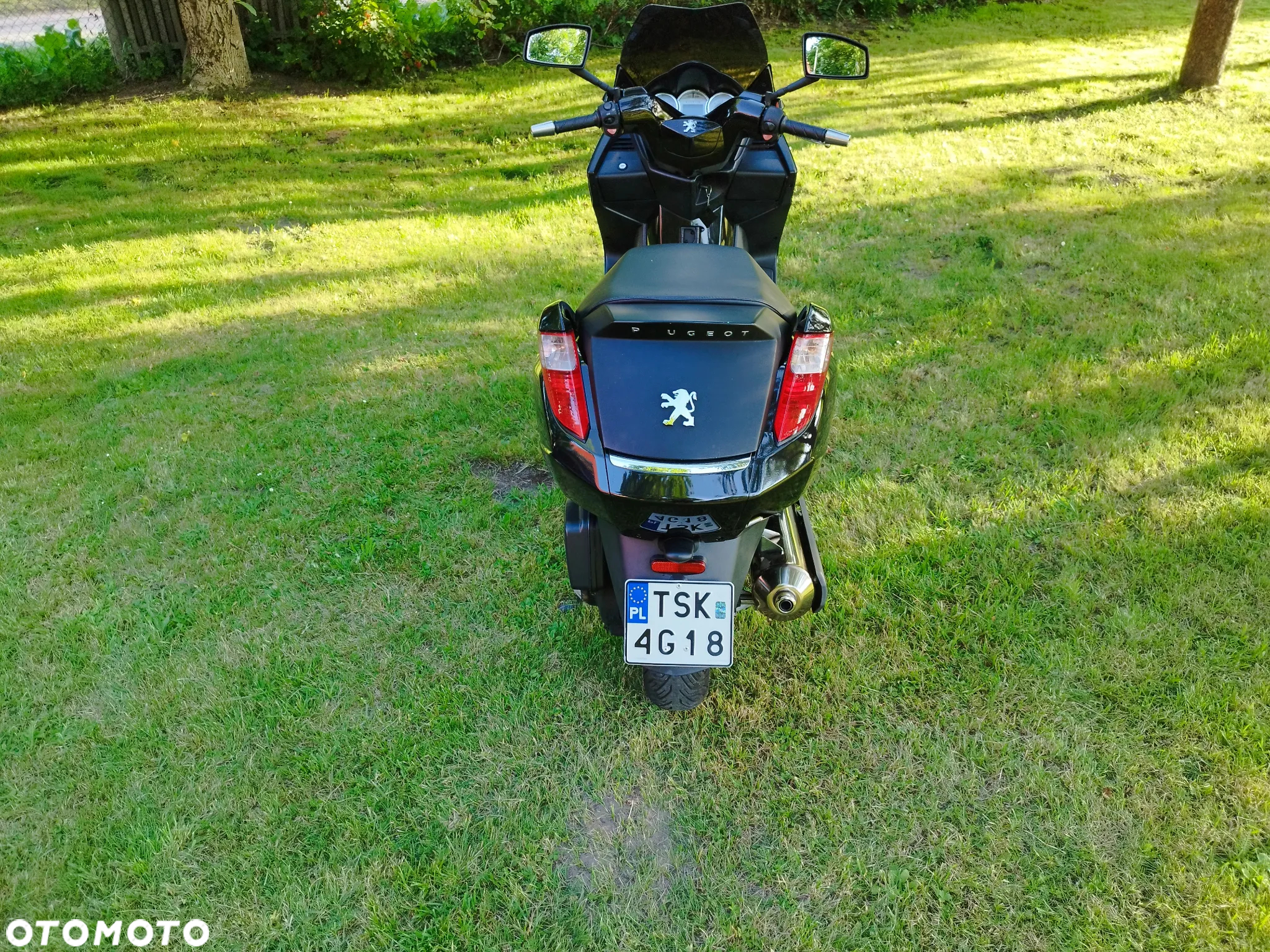 Peugeot Satelis - 4