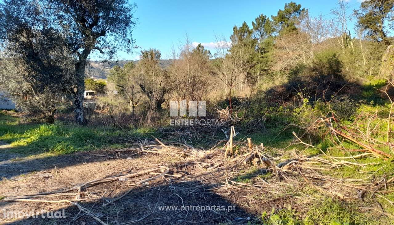 Venda Terreno, Gondar, Amarante - Grande imagem: 5/28