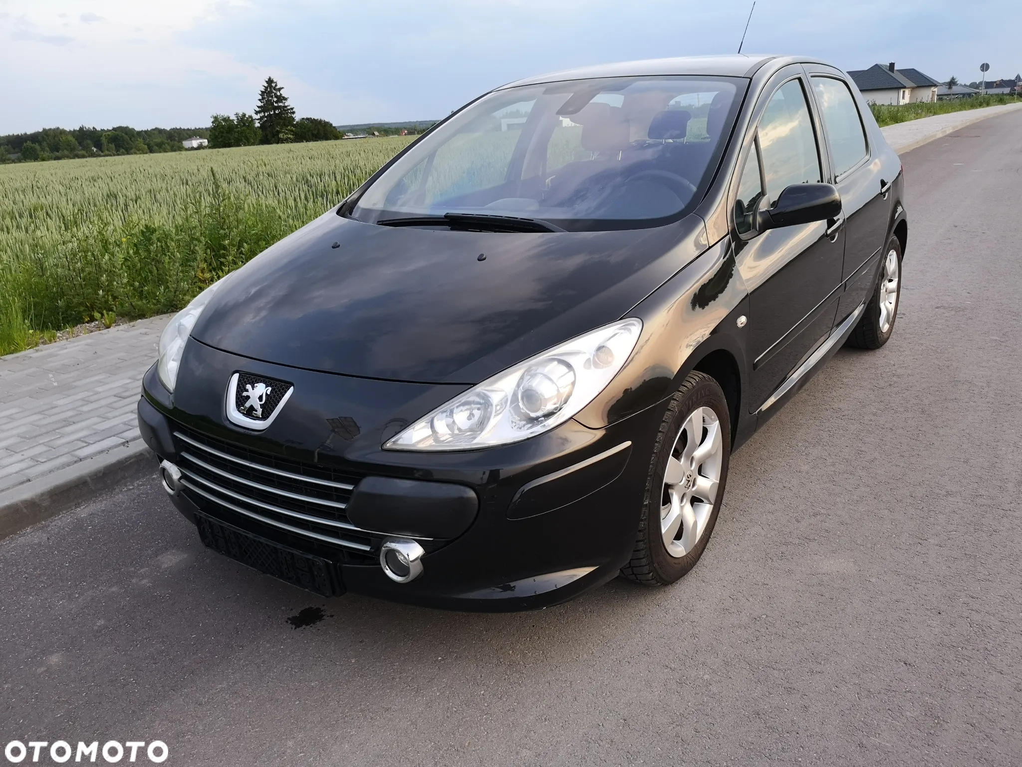 Peugeot 307 110 OXYGO - 39