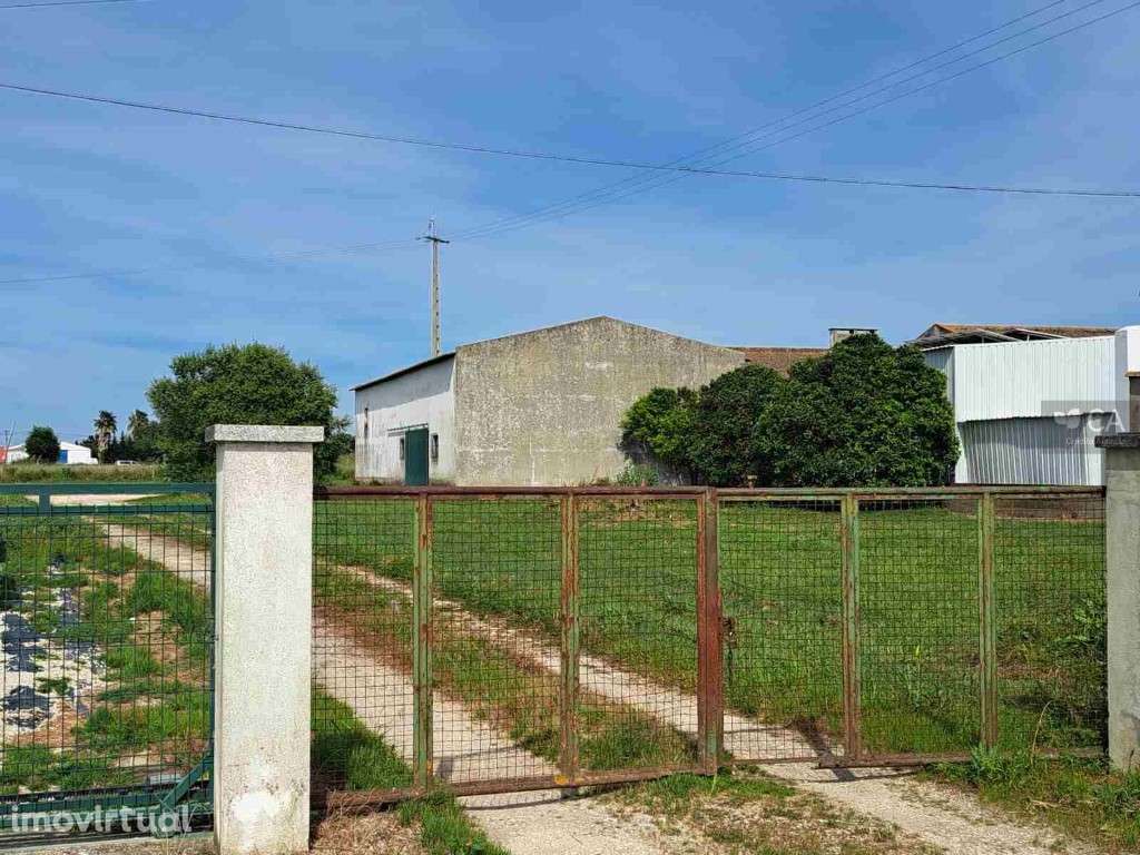 Armazém com 373m2 de área bruta de construção e terreno com 4142 m2... - Grande imagem: 5/5