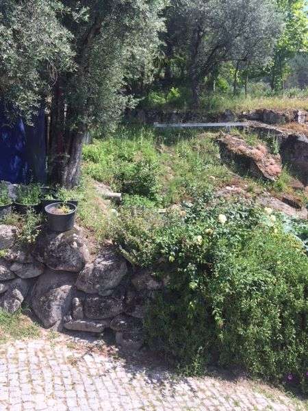 Terreno 700m² para construção e 5000m² Vilar de ferreiros mondim basto - Grande imagem: 2/4