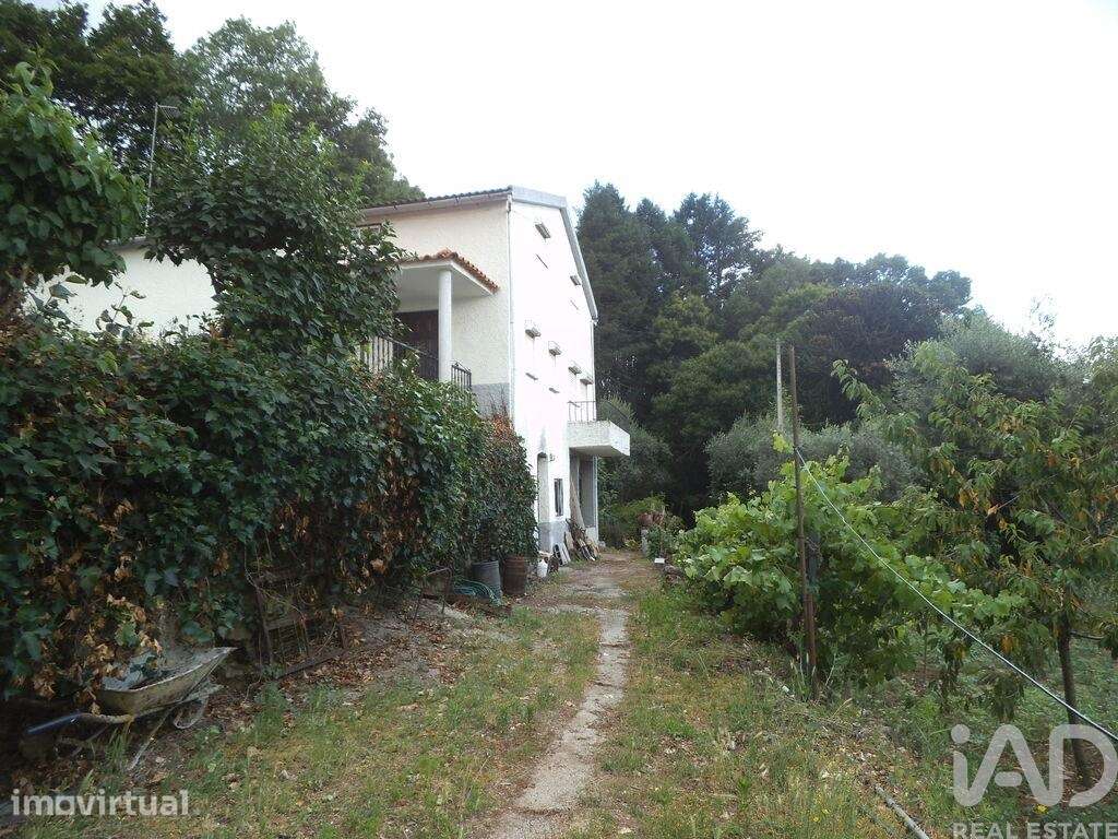 Quinta T6 em Gouveia de 244 m2 - Grande imagem: 4/30