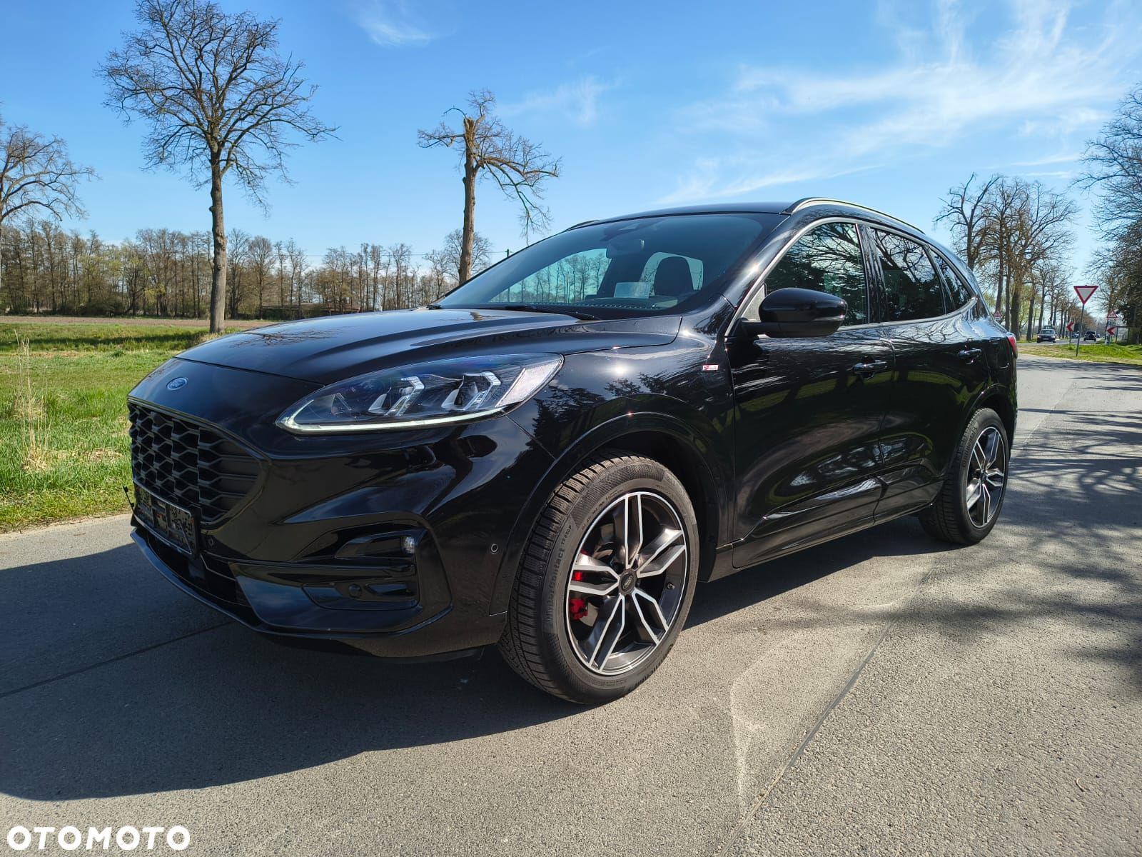 Ford Kuga 2.0 EcoBlue 4x4 ST-LINE X - 1