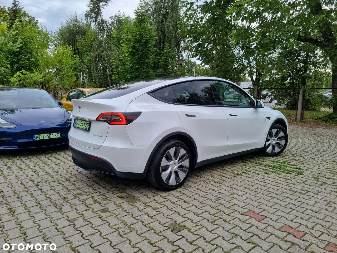 Tesla Y - 5