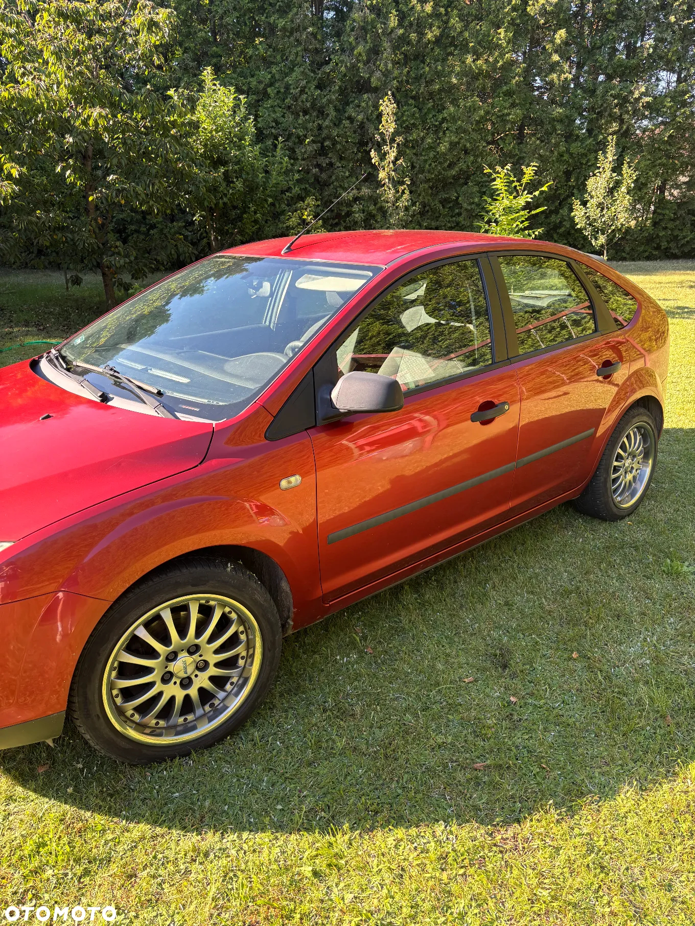 Ford Focus - 2