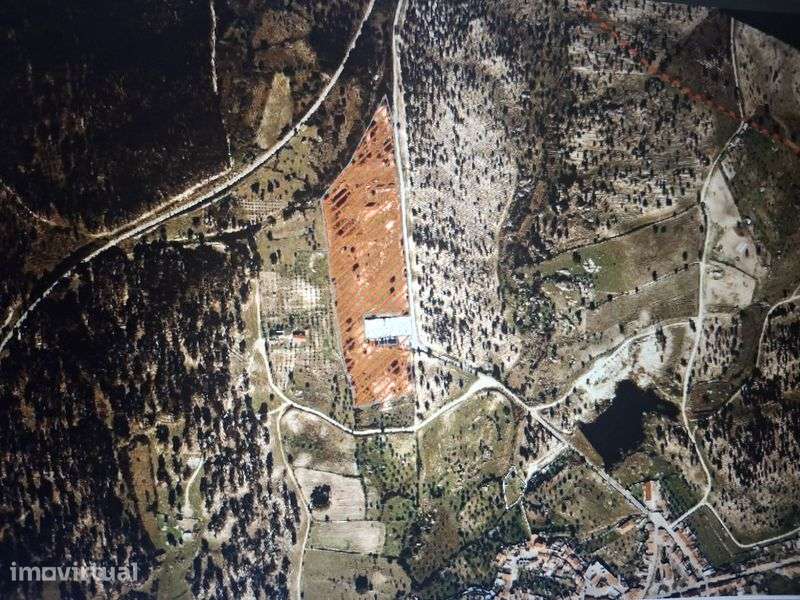 Terreno com 3.9 Hectares em Cunheira (Alter do Chão) - Grande imagem: 2/8