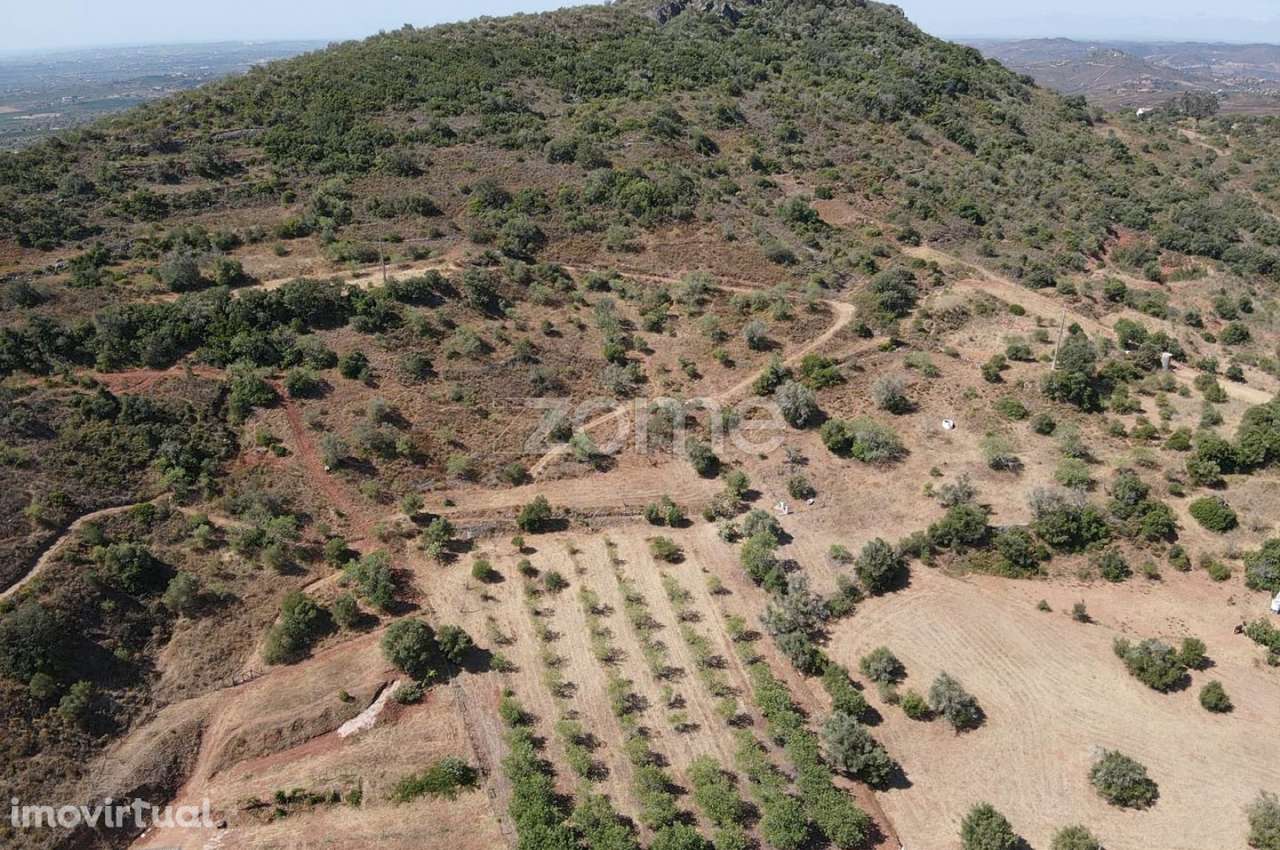 Terreno Rústico em Amorosa com poço de água e 27.160m2 de área - Grande imagem: 4/35