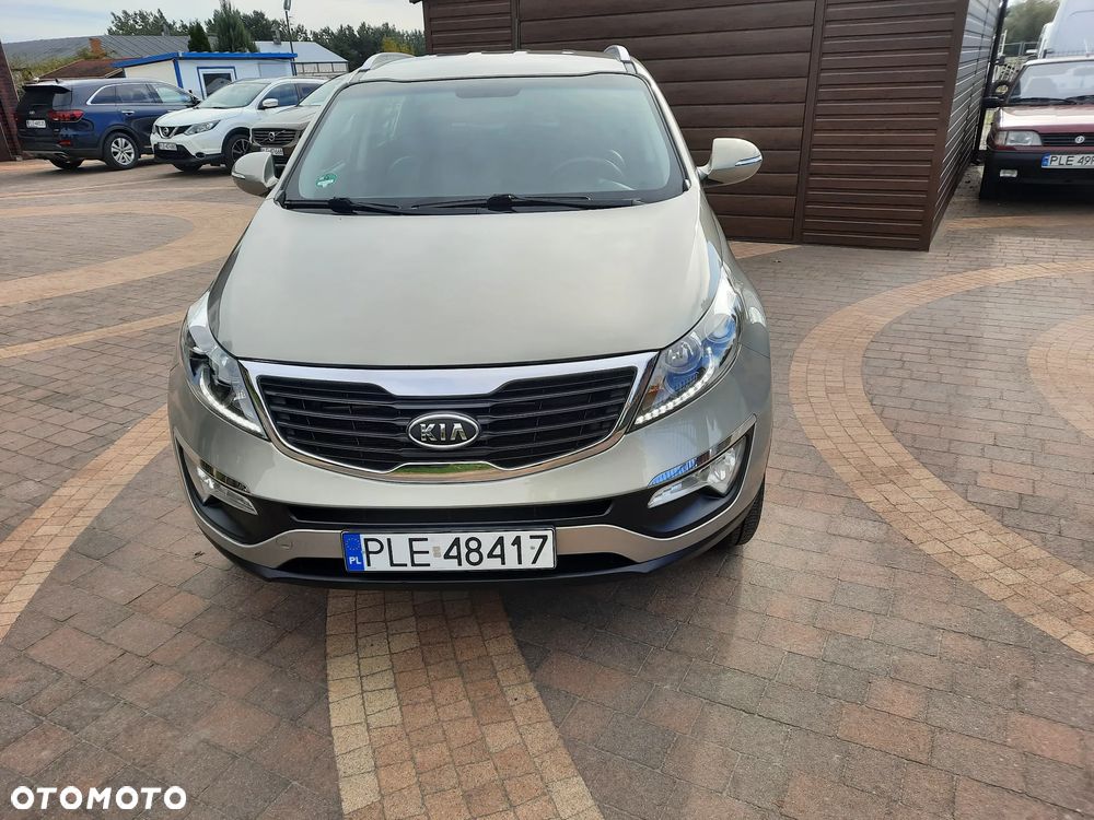 Kia Sportage - 28