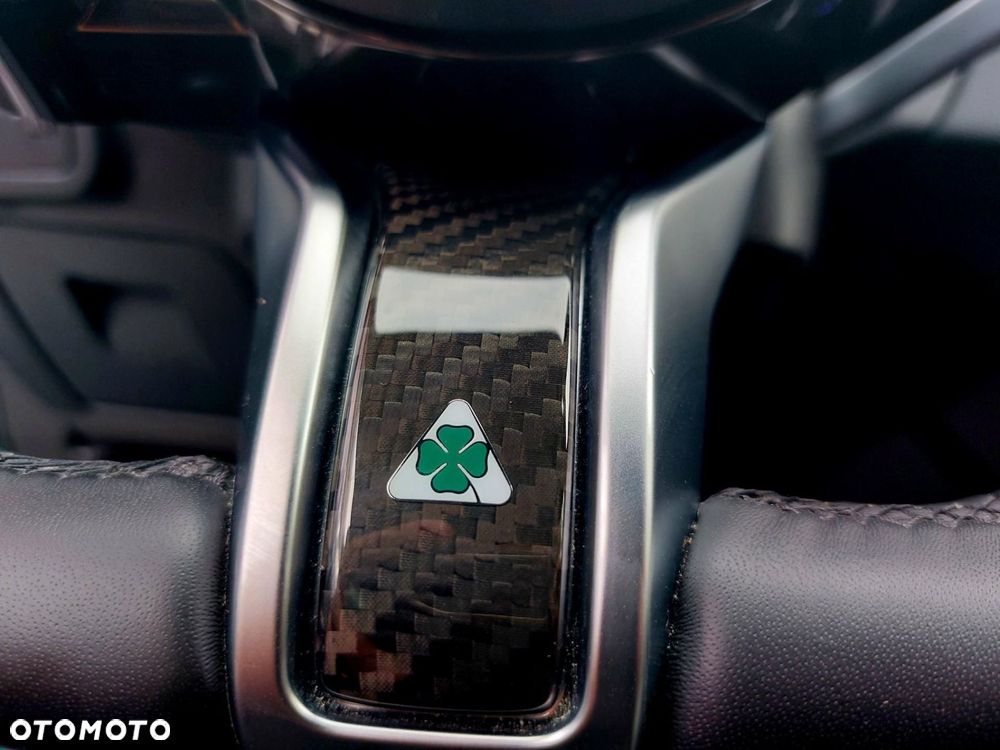 Alfa Romeo Stelvio 2.9 Bi Turbo V6 Quadrifoglio Q4 - 19