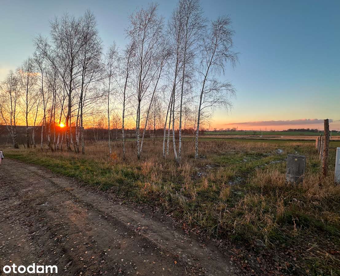 Działka na sprzedaż, 731m2, Chyby - Pełny obrazek: 2/4