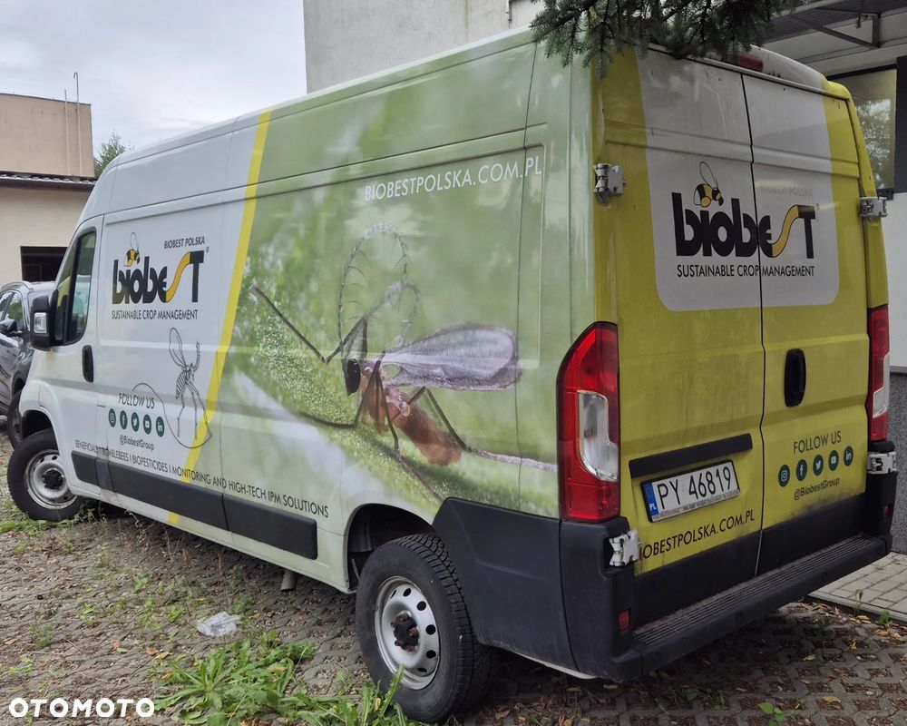 Fiat Ducato - 17