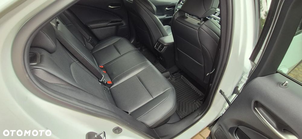 Lexus UX 250h GPF F Sport AWD - 10
