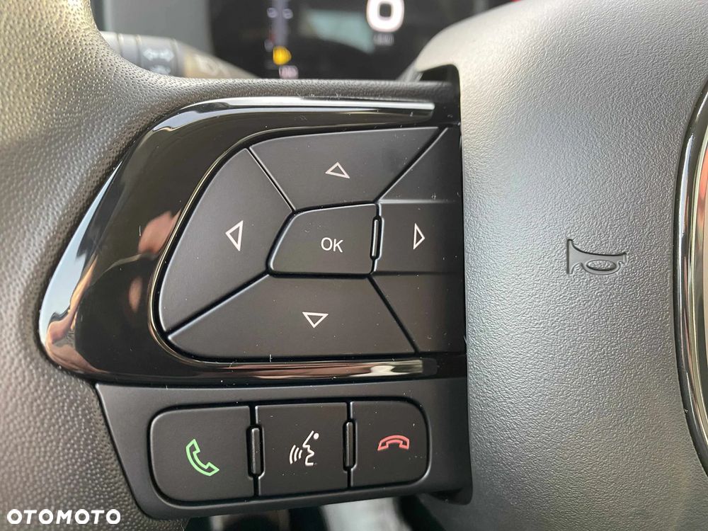 Fiat Panda Pandina 1.0 Hybrid - 14