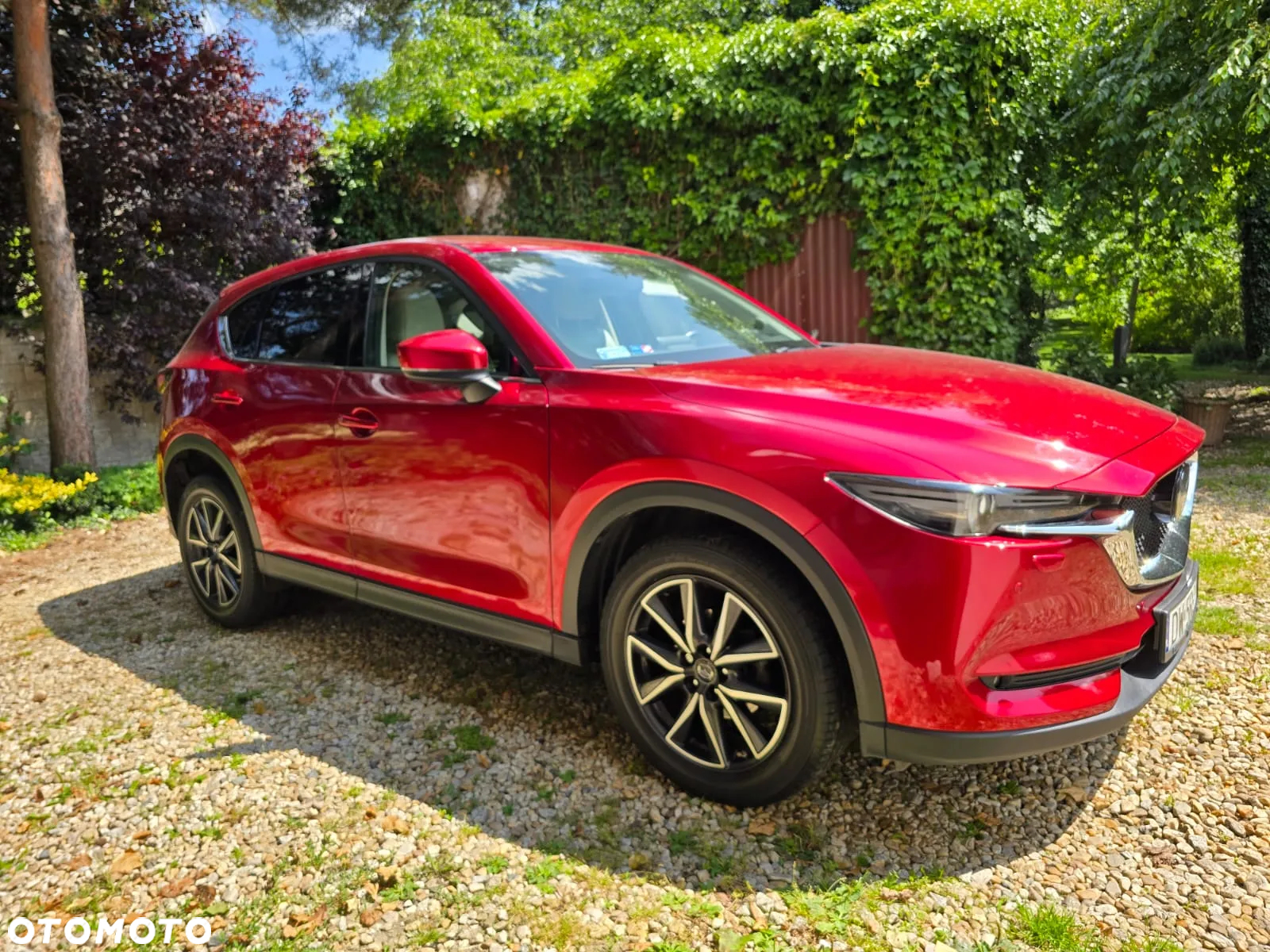Mazda CX-5 2.2 D Skypassion AWD - 4