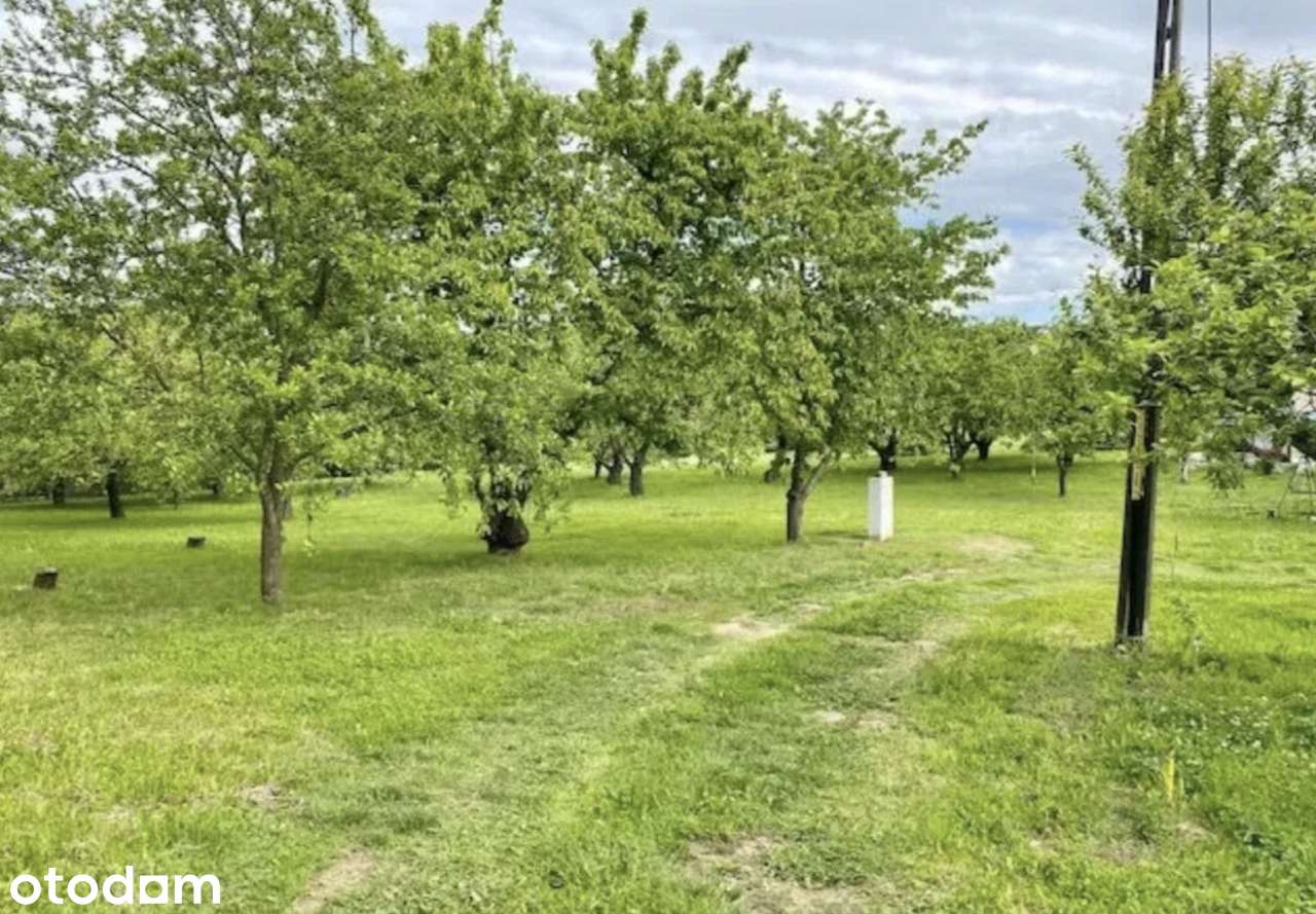Do sprzedania działka budowlana, Kołaczów - Pełny obrazek: 4/5