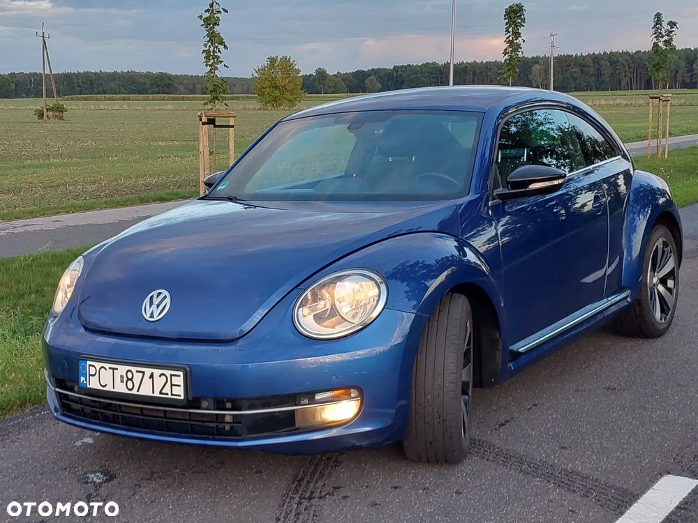 Volkswagen Beetle - 7