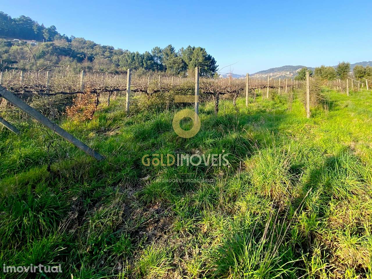 Terreno Rústico - Grande imagem: 3/10