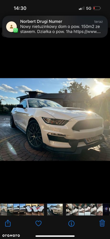 Ford Mustang 3.7 V6 - 3