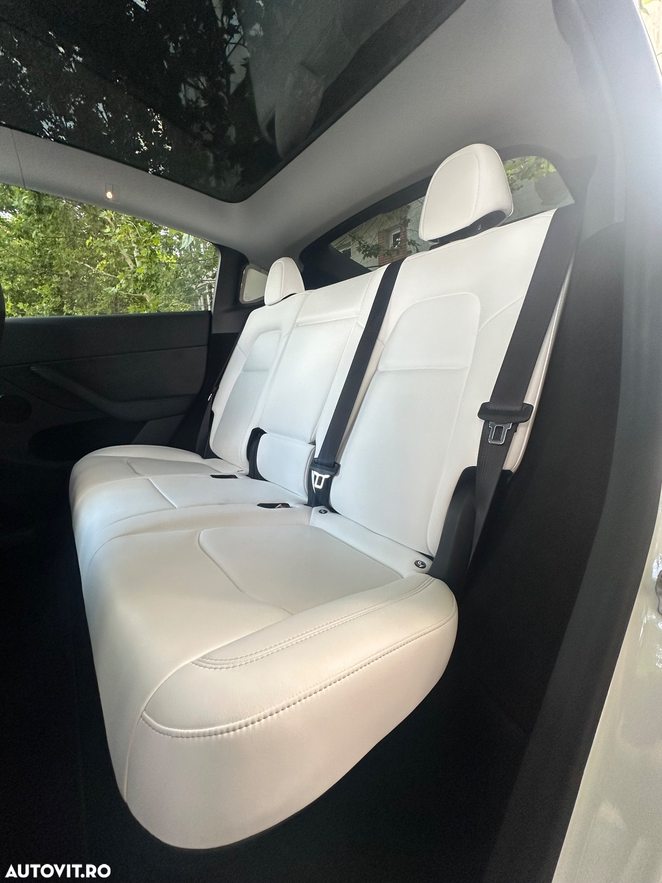 Tesla Model Y - 8